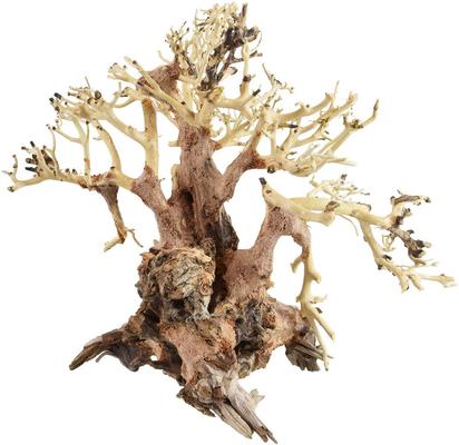 UNDERWATER TREASURES Banyan Bonsai Wood Fish Ornament - Chewy.com