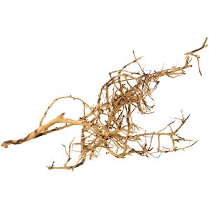 Underwater Treasures Bird Nest Wood Fish Ornament, Small