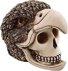 Underwater Treasures Birdman Skull Fish Ornament