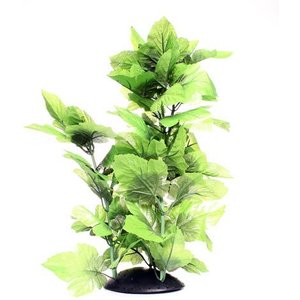 Underwater Treasures Broad Leaf Fish Plant