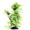 Show in main carousel: Underwater Treasures Broad Leaf Fish Plant slide 1 of 2