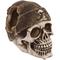 Show in main carousel: Underwater Treasures Buccaneer Skull Fish Ornament slide 1 of 2