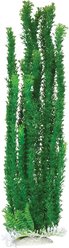 Underwater Treasures Cabomba Fish Plant