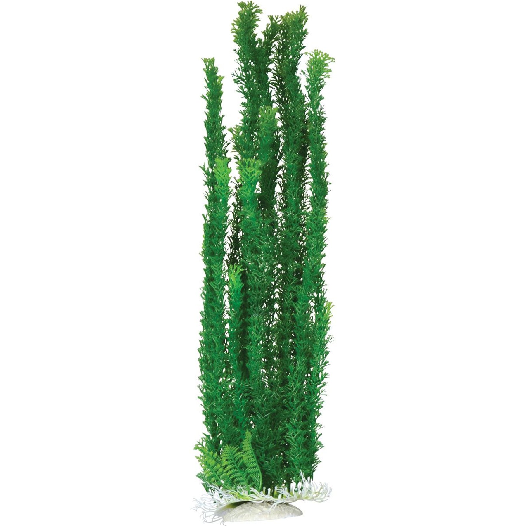 Underwater Treasures Cabomba Fish Plant