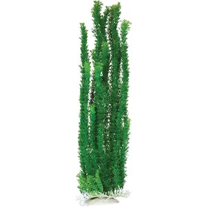 Underwater Treasures Cabomba Fish Plant