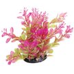 Show in main carousel: Underwater Treasures Cardamine Fish Plant, Pink, 6-in slide 1 of 1