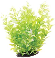 Underwater Treasures Cardamine Fish Plant, White, 10-in