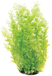 Underwater Treasures Cardamine Fish Plant, White, 16-in