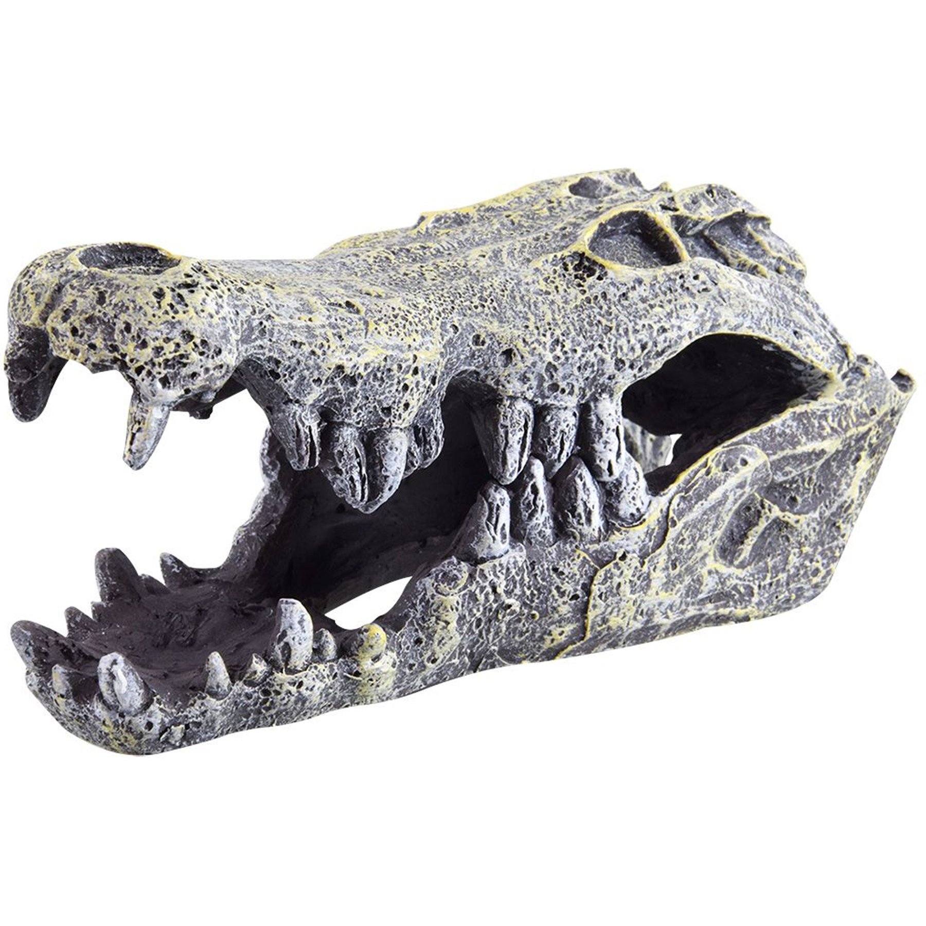 Underwater Treasures Crocodile Skull Fish Ornament, Medium