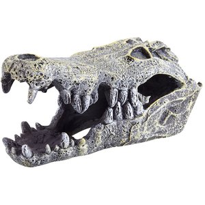 Underwater Treasures Crocodile Skull Fish Ornament, Medium