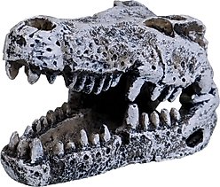 Underwater Treasures Crocodile Skull Fish Ornament, Small