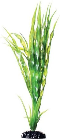 Show full view: Underwater Treasures Cryptocoryne Balansae Fish Plant, 12-in slide 1 of 2
