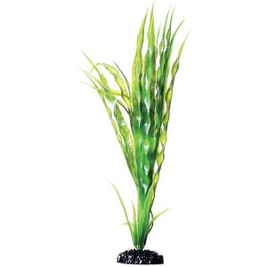 Underwater Treasures Cryptocoryne Balansae Fish Plant, 12-in