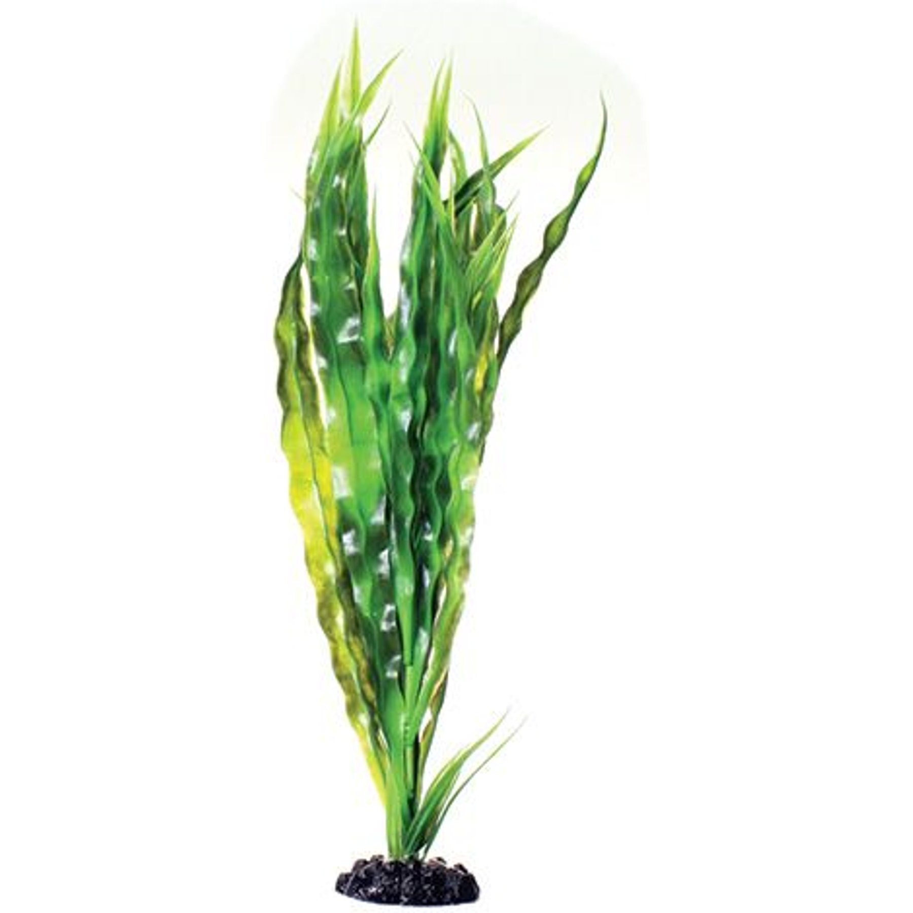 Underwater Treasures Cryptocoryne Balansae Fish Plant, 16-in