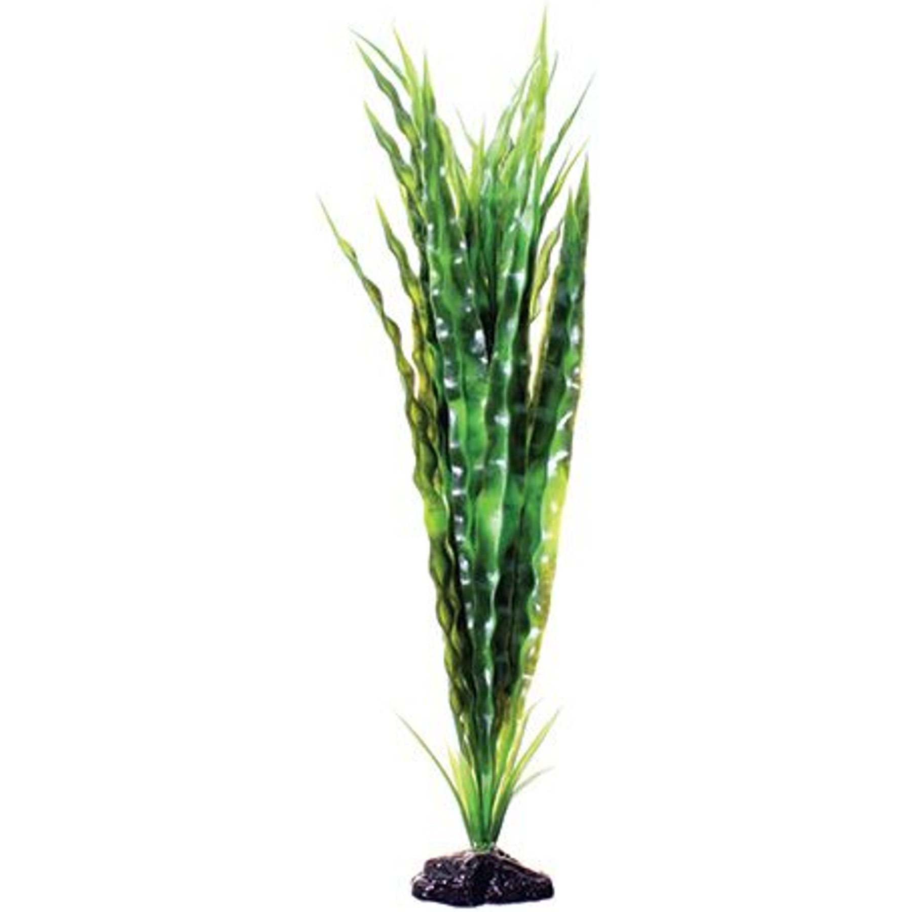 Underwater Treasures Cryptocoryne Balansae Fish Plant, 20-in