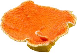 Underwater Treasures Dinner Plate Coral Fish Ornament, Orange