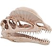 Show in main carousel: Underwater Treasures Dinosaur Skull Fish Ornament slide 1 of 2