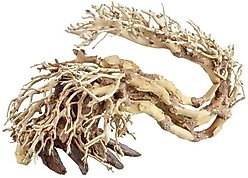 Underwater Treasures Dragon Wood Fish Ornament, Large