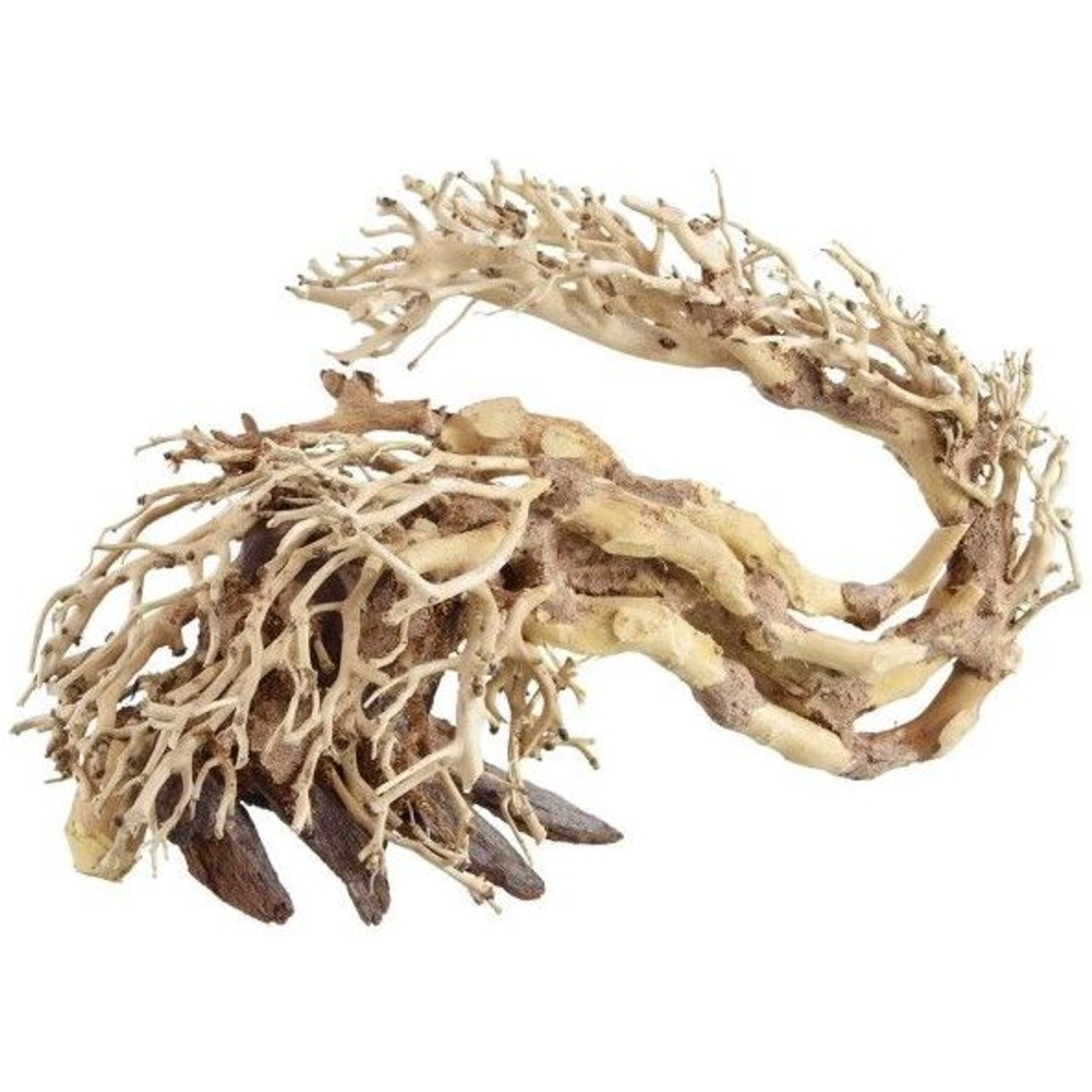 Underwater Treasures Dragon Wood Fish Ornament, Large