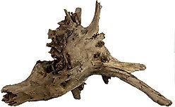 Underwater Treasures Eucalyptus Root Fish Wood, Large