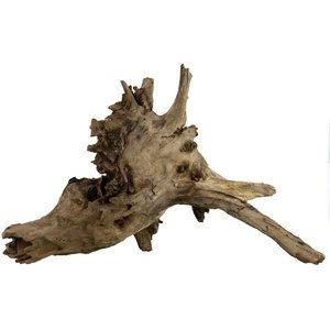 Underwater Treasures Eucalyptus Root Fish Wood, Large