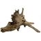 Show in main carousel: Underwater Treasures Eucalyptus Root Fish Wood, Large slide 1 of 2