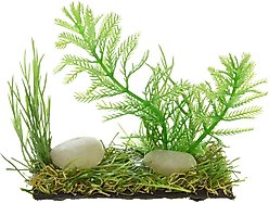 Underwater Treasures Foregrounder Fish Ornament, Green