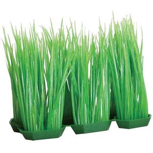 Underwater Treasures Foregrounder Green Hairgrass Fish Ornament