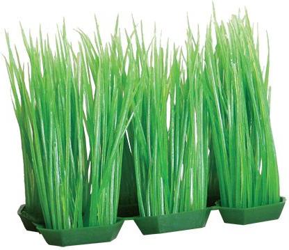 Show full view: Underwater Treasures Foregrounder Green Hairgrass Fish Ornament slide 1 of 1