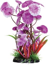 Underwater Treasures Fuscia Love Lily Fish Plant, 8-in