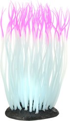 Underwater Treasures Glowing Anemone Fish Ornament, Large, Pink