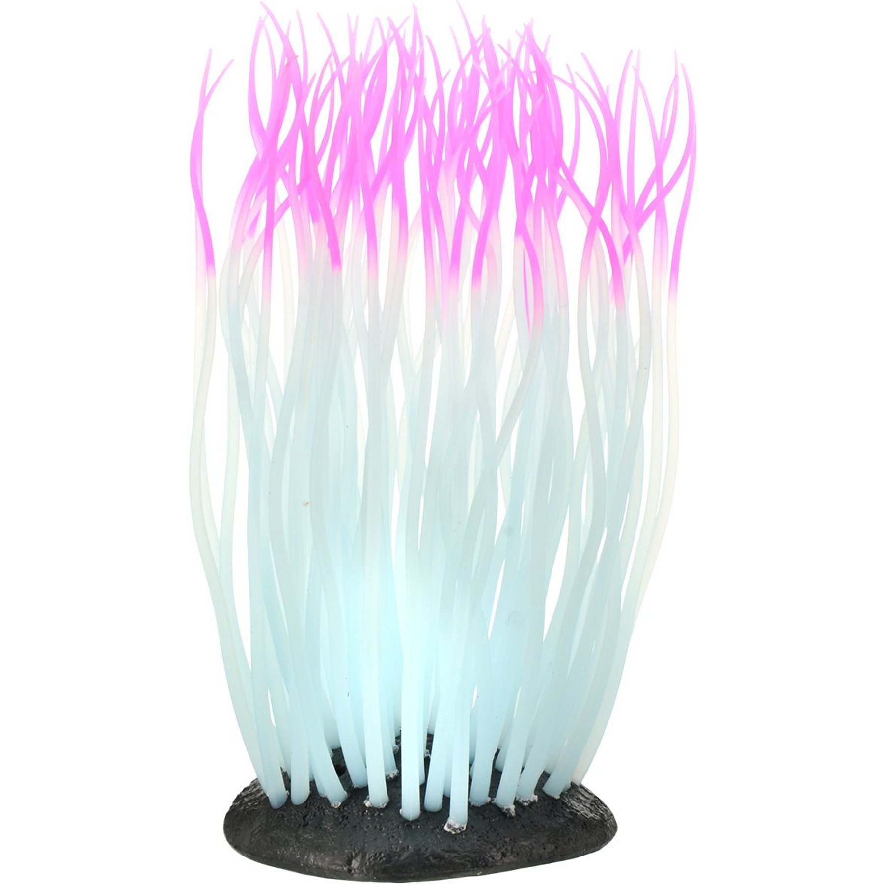 Underwater Treasures Glowing Anemone Fish Ornament, Large, Pink
