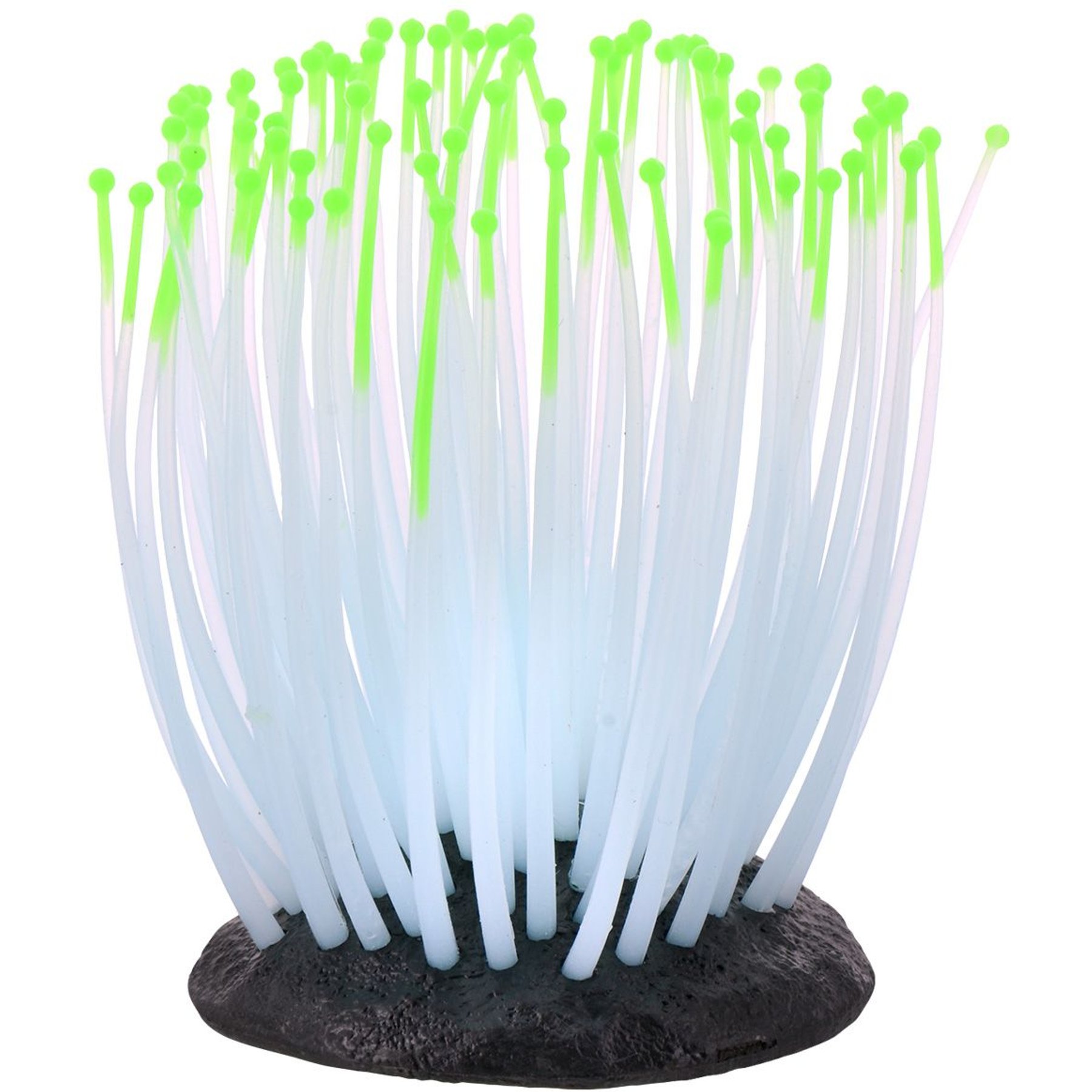 Underwater Treasures Glowing Anemone Fish Ornament, Small, Green