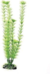Underwater Treasures Green Cabomba Fish Plant, 12-in