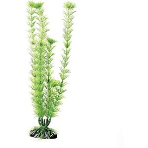 Underwater Treasures Green Cabomba Fish Plant, 12-in