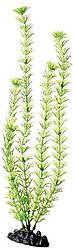 Underwater Treasures Green Cabomba Fish Plant, 16-in