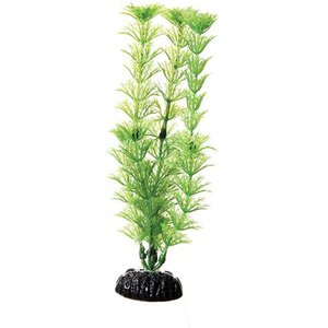 Underwater Treasures Green Cabomba Fish Plant, 8-in