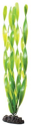 Underwater Treasures Green Jungle Vallisneria Fish Plant