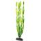 Show in main carousel: Underwater Treasures Green Jungle Vallisneria Fish Aquarium Plant slide 1 of 1