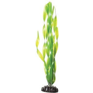 Underwater Treasures Green Jungle Vallisneria Fish Plant, 12-in