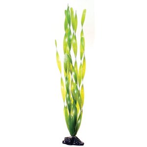 Underwater Treasures Green Jungle Vallisneria Fish Plant, 20-in
