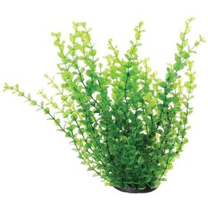 Underwater Treasures Green Moneywort Fish Ornament
