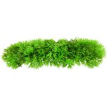 Underwater Treasures Green Star Fern Fish Ornament