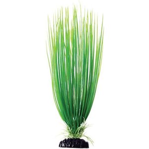 Underwater Treasures Hairgrass Fish Plant, 12-in, Green
