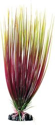 Underwater Treasures Hairgrass Fish Plant, 12-in, Red/Green