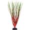 Show in main carousel: Underwater Treasures Hairgrass Fish Plant, 16-in, Red/Green slide 1 of 4