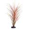 Show in main carousel: Underwater Treasures Hairgrass Fish Plant, 16-in, Red/Green slide 3 of 4