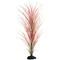 Show in main carousel: Underwater Treasures Hairgrass Fish Plant, 20-in, Red/Green slide 1 of 2