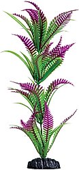 Underwater Treasures Heart Fern Fish Plant, 12-in