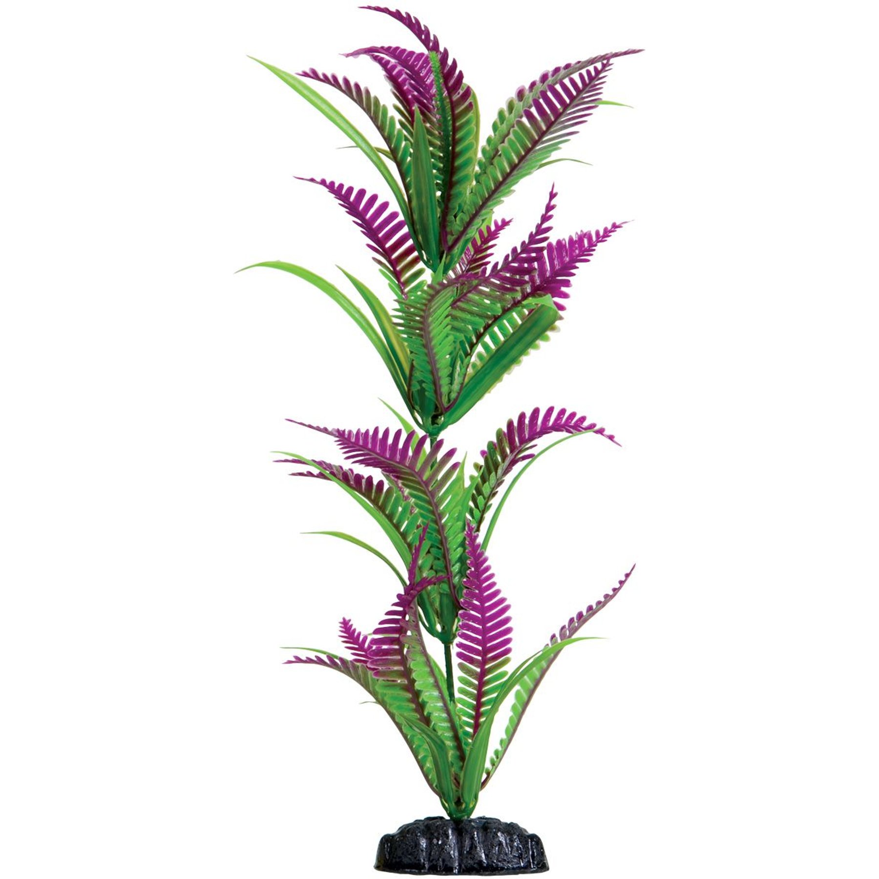 Underwater Treasures Heart Fern Fish Plant, 12-in